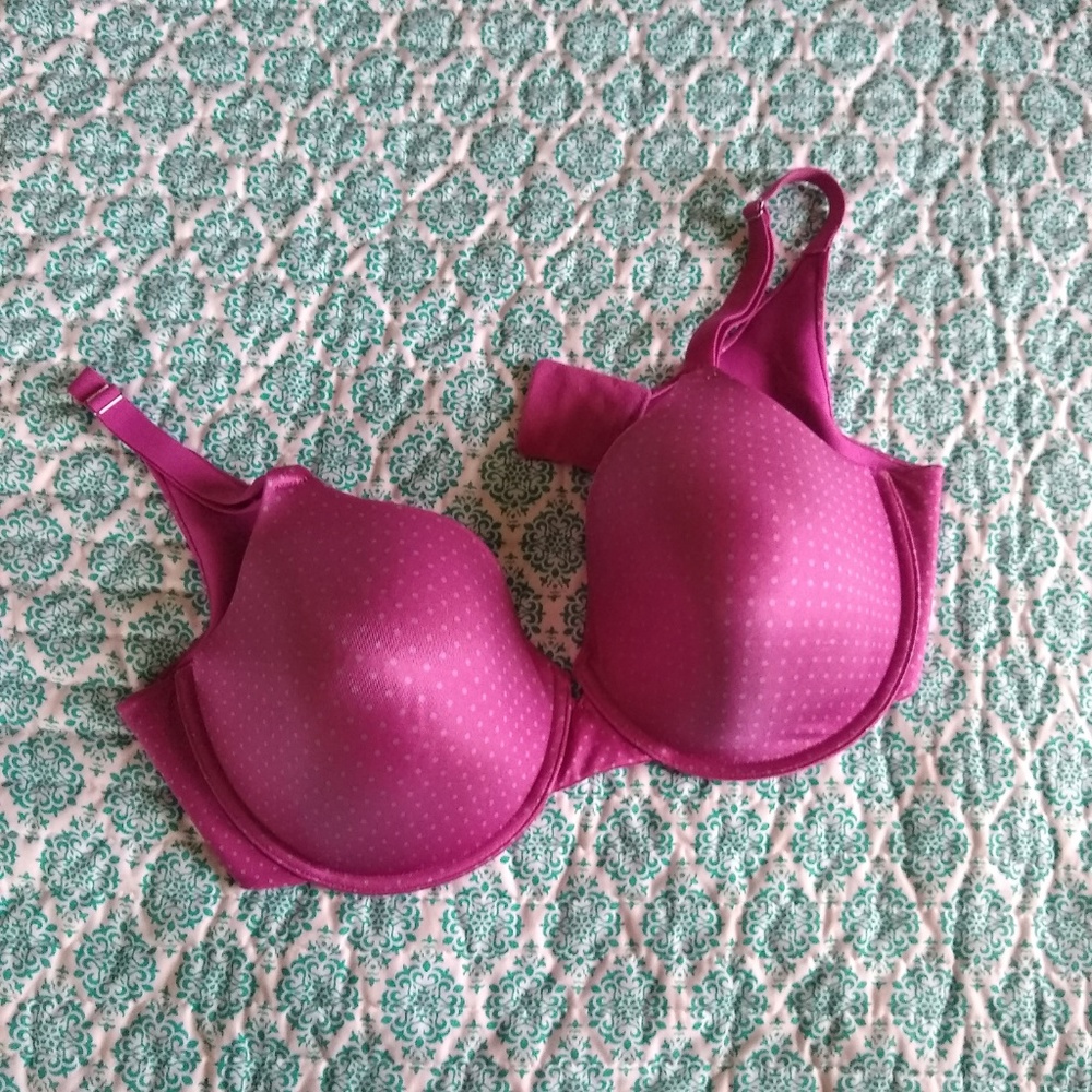 Maidenform Pink with Polka Dots Bra 38DD